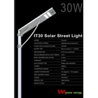 solar street light 30 watt 1